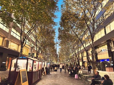 12月の丸の内仲通り　 丸の内,丸の内仲通り,イルミネーションの写真素材