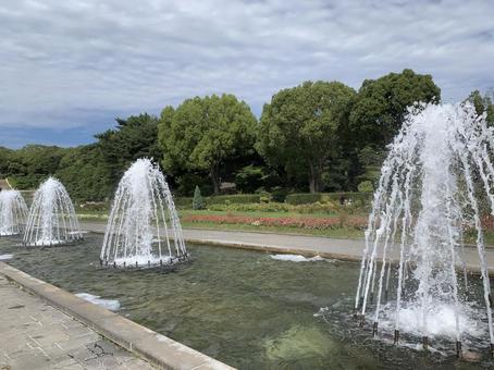 須磨 離宮公園 須磨 離宮公園 兵庫,神戸,須磨の写真素材