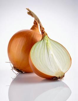 白い背景に玉ねぎとカットされた玉ねぎの写真