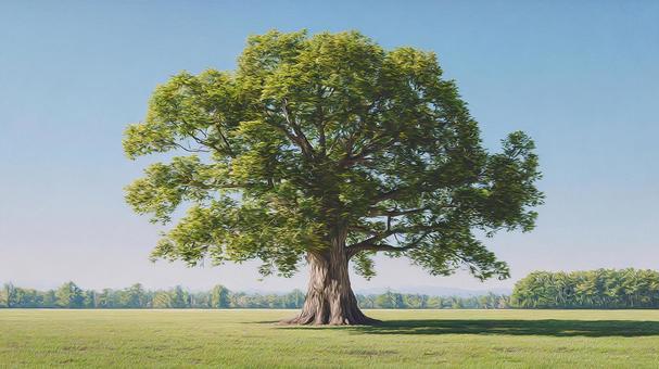 広大な草原に立つ一本の大木 広大な草原に立つ一本の大木の写真