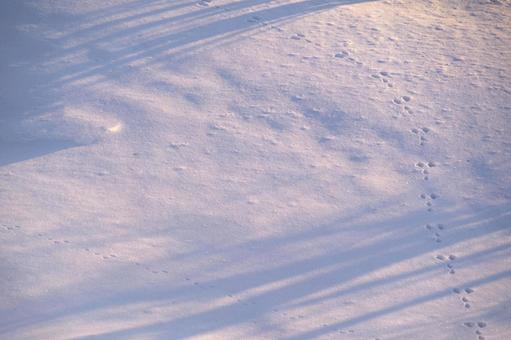 一面の雪 一面の雪 雪,雪原,冬の写真素材