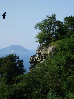 崖とトンビの写真
