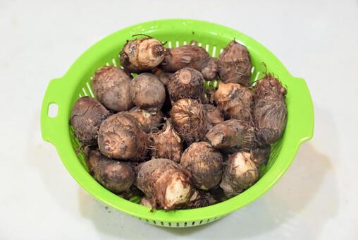 里芋 1 さといも,里芋,食材の写真素材