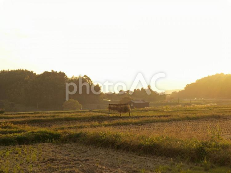 田舎の田園風景 田舎,田園,風景の写真素材