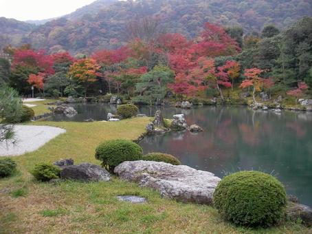 天龍寺 京都 天龍寺 京都の写真
