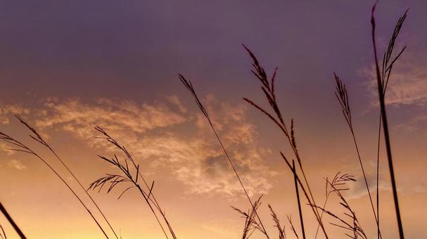 秋の夕暮れの風景画像 秋,夕暮れ,夕日の写真素材