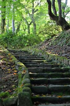 高岡古城公園の初秋 紅葉,葉,植物の写真素材