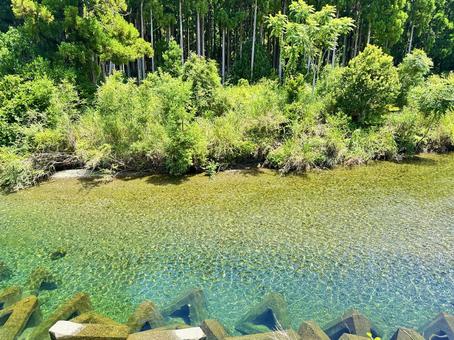 熊野古道 大辺路付近 熊野古道 大辺路付近の写真