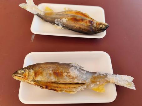 鮎の塩焼き2 鮎の塩焼き2 鮎の塩焼き,鮎,塩焼きの写真素材