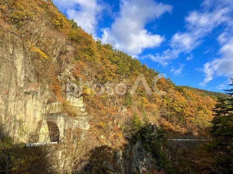 山梨県県道から見る紅葉の景色 紅葉,秋,秋景色の写真素材