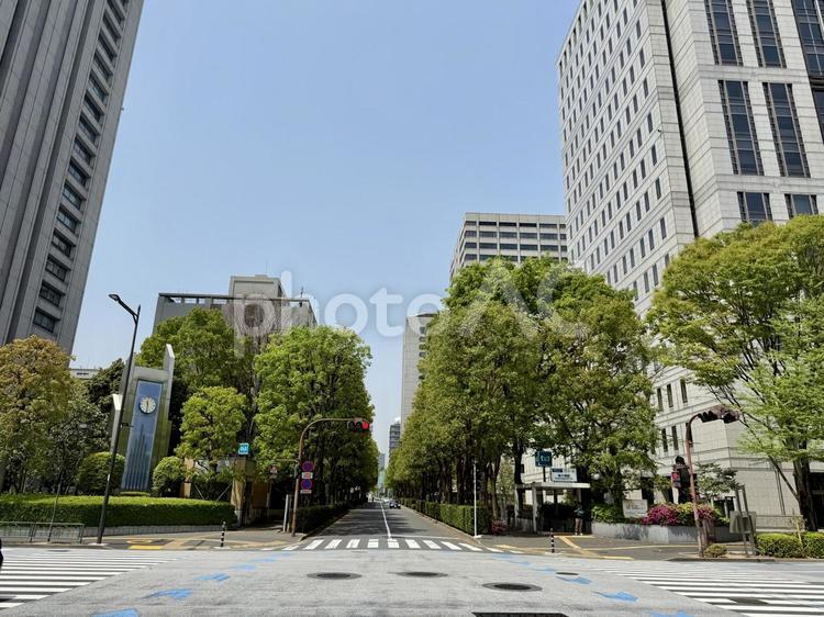 日比谷公園前の道路 霞ヶ関,千代田区,都会の写真素材