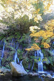 【山梨県】紅葉した吐竜の滝 【山梨県】紅葉した吐竜の滝 山梨県,北杜市,吐竜の滝の写真素材