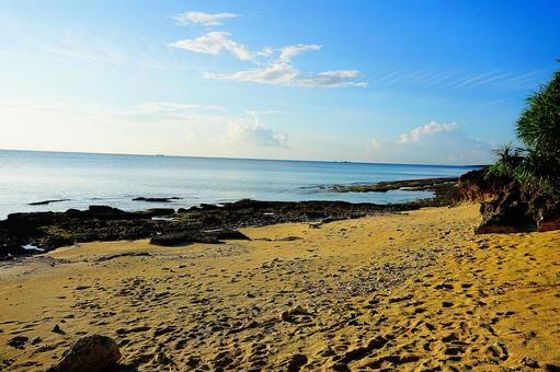 沖縄の海辺 沖縄の海辺 沖縄,風景,海の写真素材
