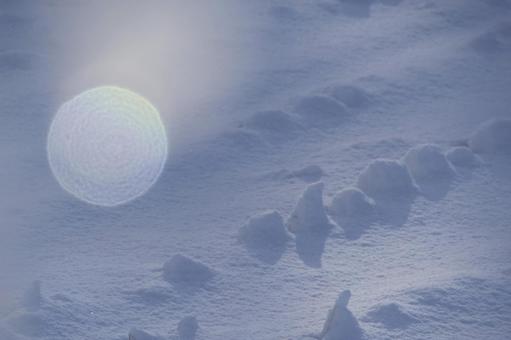 一面の雪 一面の雪の写真