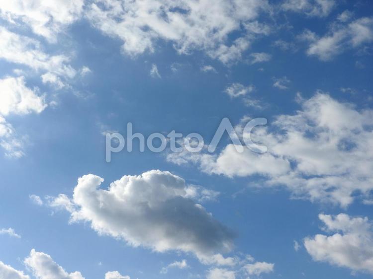 晴れた日の冬の青いそら 青空,晴れ,空の写真素材