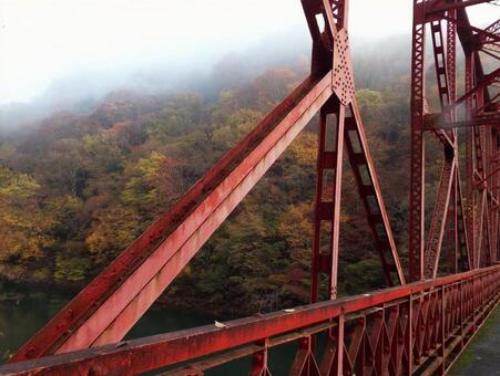 【紅葉写真】美しい紅葉 紅葉,自然,風景の写真素材