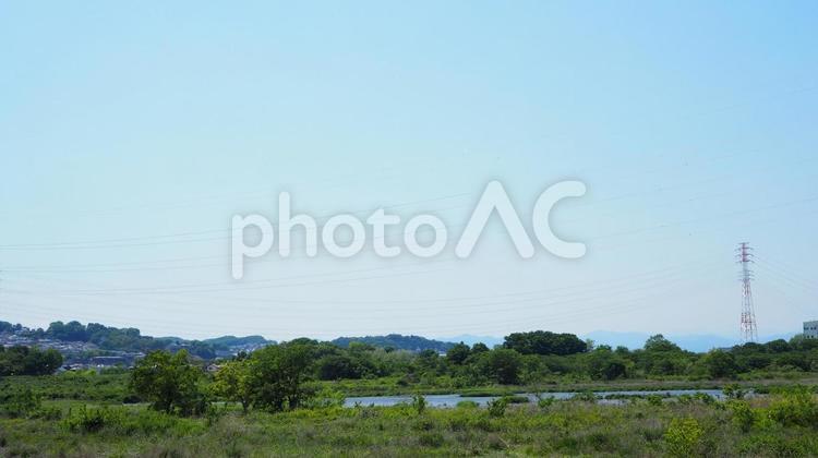 多摩川と美しい緑の河畔（東京都・府中市） 多摩川,府中市,河川の写真素材