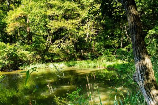与兵衛沼の風景⑺ 与兵衛沼の風景⑺ 沼,与兵衛沼,仙台藩士鈴木与兵衛の写真素材