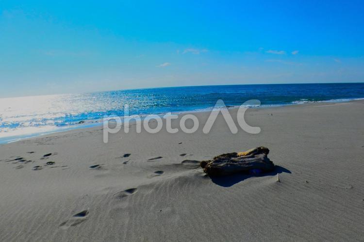 海と流木 海,砂浜,晴天の写真素材