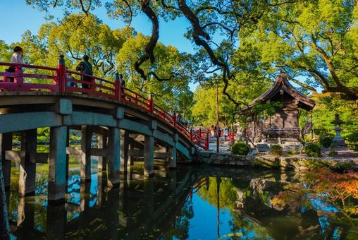 【福岡】太宰府天満宮の風景 福岡,太宰府駅,太宰府の写真素材