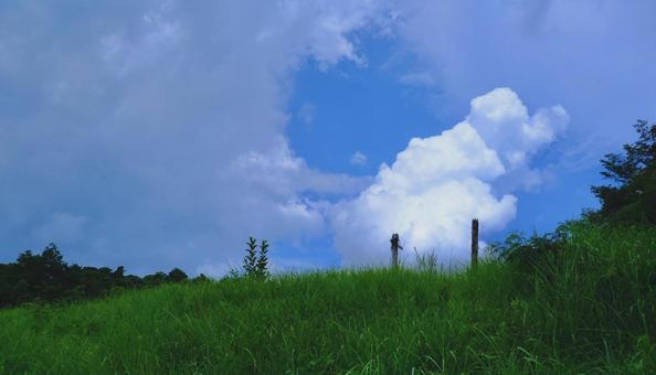 青空 青空の写真