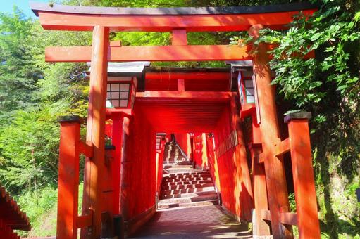 【島根県】太鼓谷稲荷神社 【島根県】太鼓谷稲荷神社 神社,稲荷神社,津和野の写真素材