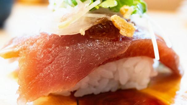 カツオのにぎり寿司 カツオのにぎり寿司 カツオ,にぎり寿司,寿司の写真素材