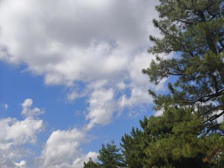夏空 夏空の写真