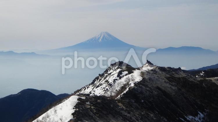 南アルプスから遠くに臨む富士山 富士山,南アルプス,登山の写真素材