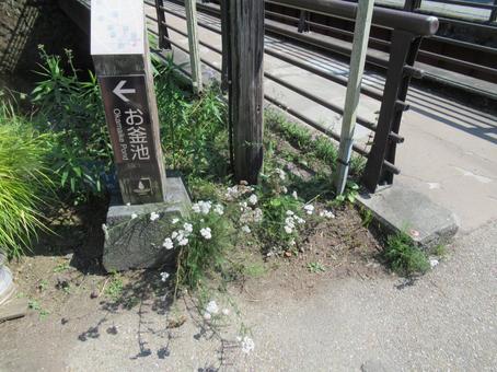 Scenery of Oshino Hakkai at the foot of Mount Fuji, JPG Scenery of Oshino Hakkai at the foot of Mount Fuji, JPG