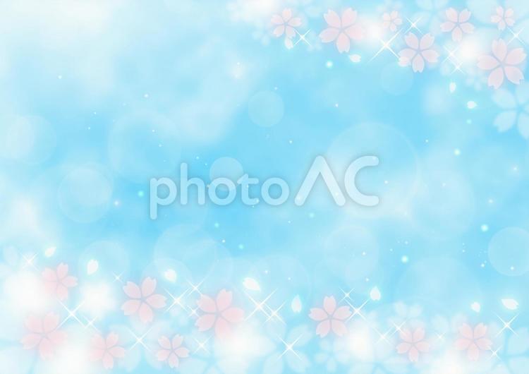 桜吹雪と煌めきとボケ　春のイメージ　背景素材（水色） 桜,春,桜吹雪の写真素材