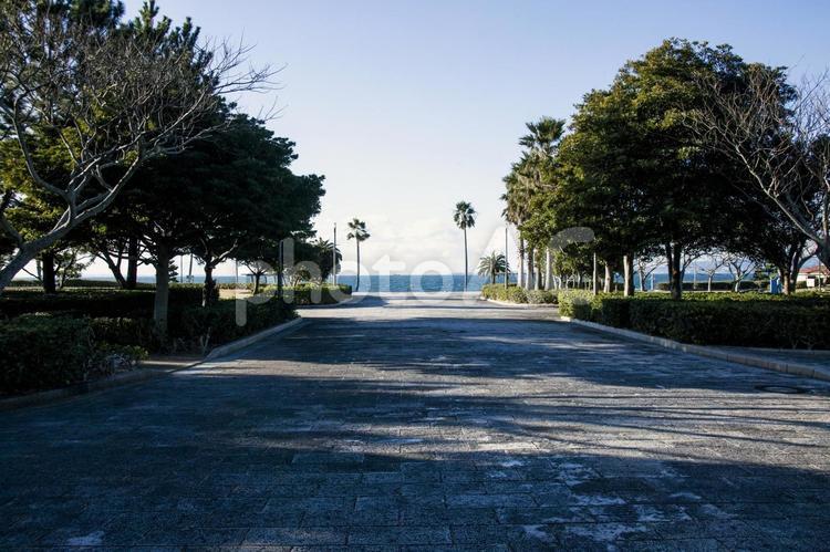 白谷海浜公園6（田原市） 田原市,白谷,海水浴の写真素材
