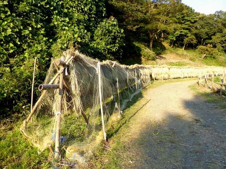 10月、稲刈りを終えた郊外農地の風景 稲刈り,田畑,農地の写真素材