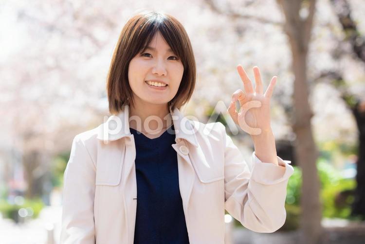 桜の咲く春の屋外でokサインをする女性 女性,春,桜の写真素材