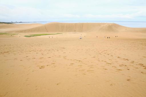 雨上がりの砂丘 鳥取砂丘,国立公園,天然記念物の写真素材