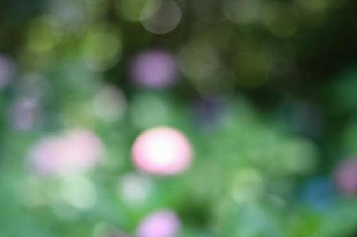 玉ボケ 玉ボケの写真