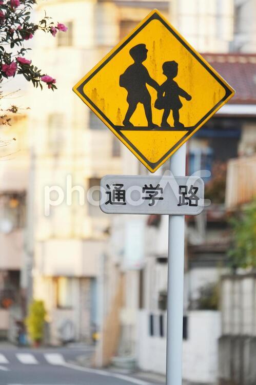 道路標識　通学路 標識,交通標識,道路標識の写真素材