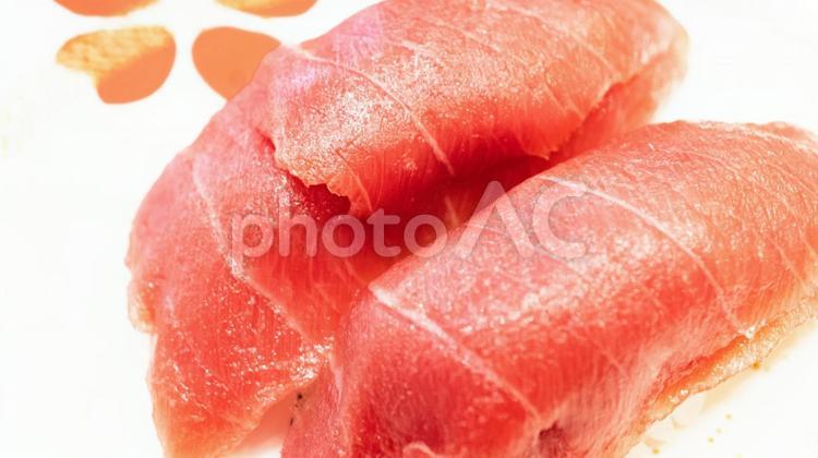 中トロのにぎり寿司 中トロ,握り寿司,寿司の写真素材