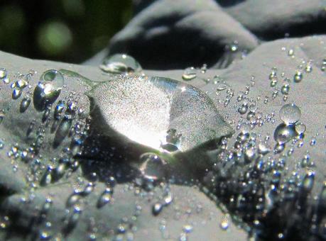 水滴と朝の光の風景 水滴と朝の光の風景 水滴,しずく,雨の写真素材