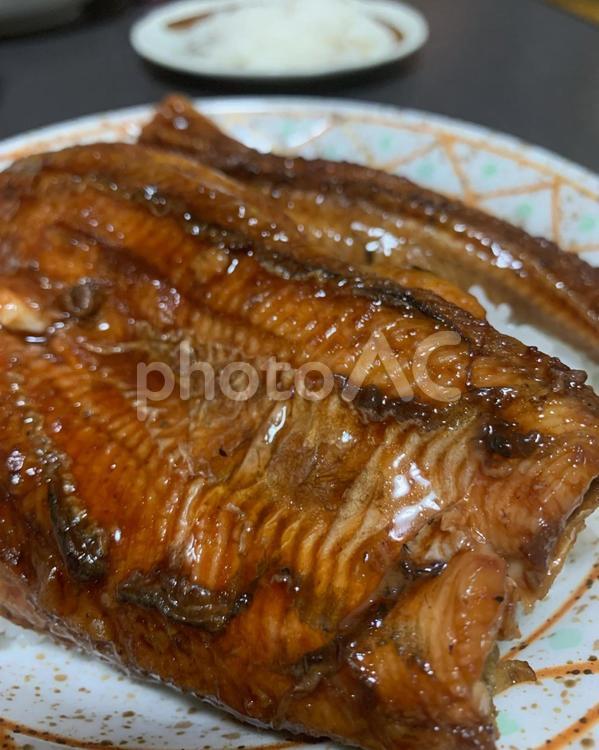 土用うなぎの日 うなぎ,鰻,土用の写真素材