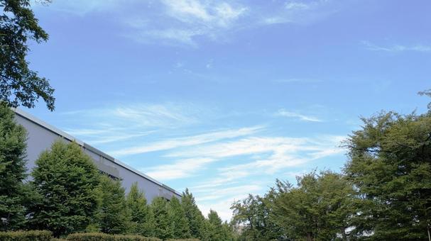 Vの字に開けた青空とコピースペース Vの字に開けた青空とコピースペースの写真