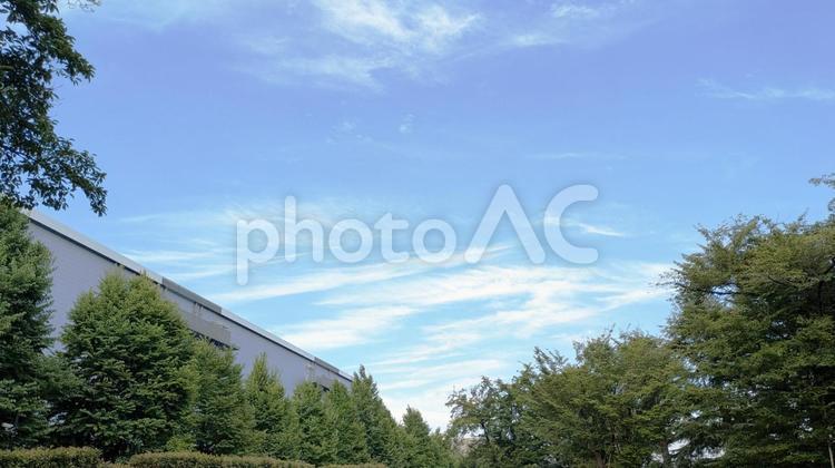 Vの字に開けた青空とコピースペース 秋,自然,背景の写真素材