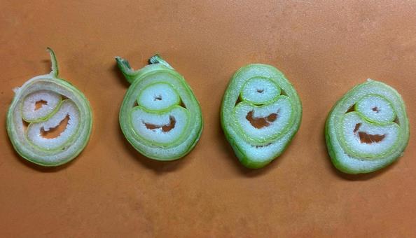 ネギの輪切りが一つ目小僧 ネギ,葱,輪切の写真素材