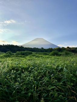 大空と草地と富士山 大空と草地と富士山 富士山,空,雲の写真素材