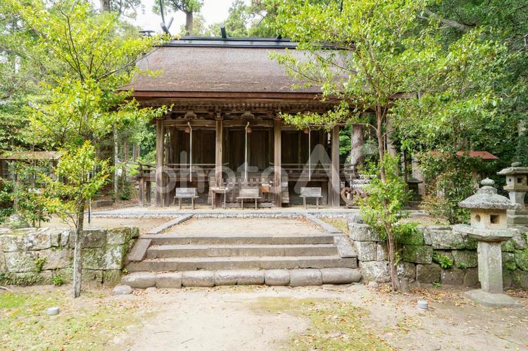 和歌山　熊野三所大神社　本殿 熊野三所大神社,浜の宮大神社,熊野の写真素材