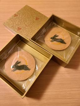出雲の旅館で出された月とうさぎのお菓子 出雲の旅館で出された月とうさぎのお菓子 和菓子,瓦せんべい,出雲の写真素材