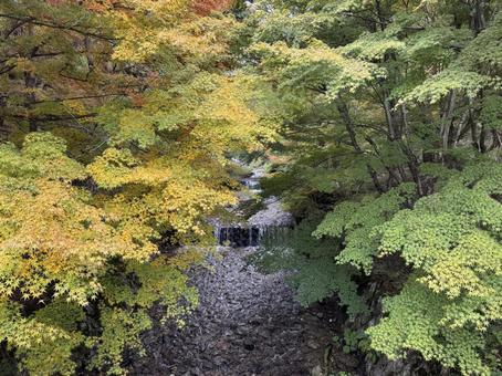 晩秋の牛伏川フランス式階段工の写真