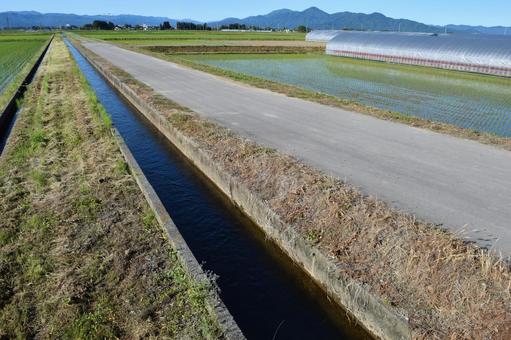 農業用水路と農道 田園風景 農道,農業用道路,農業用の道路の写真素材