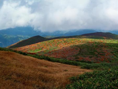 紅葉の栗駒山(須川岳) 紅葉の栗駒山(須川岳) 栗駒山,紅葉,秋の写真素材
