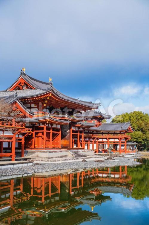 池に映る朱色の美しい寺院   寺院,池,反射の写真素材